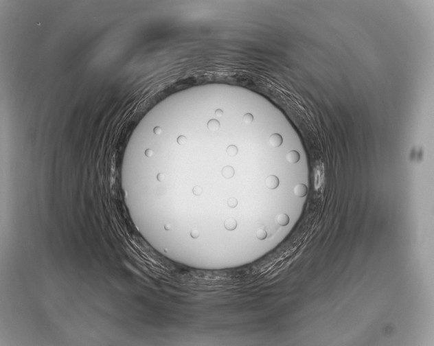 X0000096381011200801240958