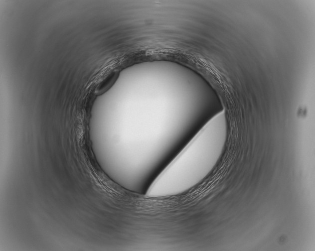 X0000096381012200801240958