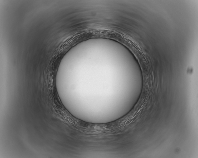 X0000096381013200801240958