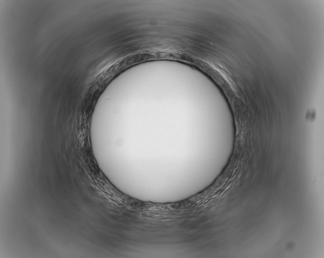 X0000096381015200801240958