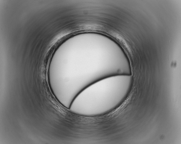 X0000096381019200801240958
