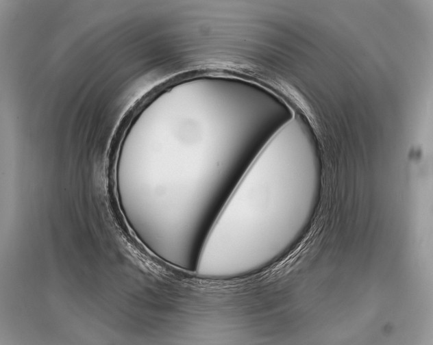 X0000096381020200801240958