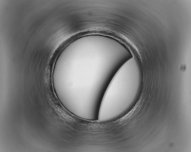 X0000096381021200801240958