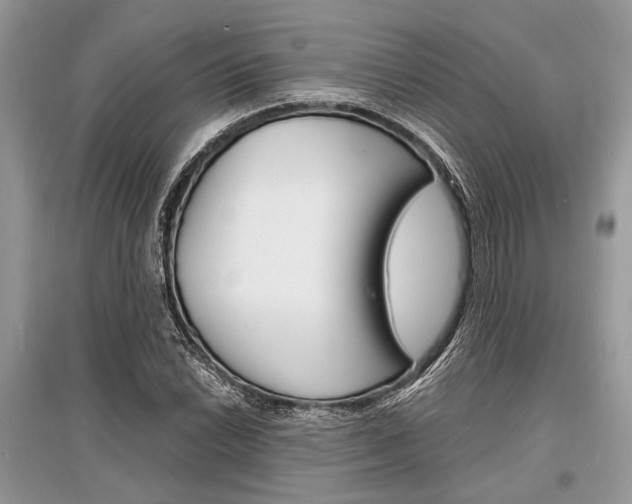 X0000096381022200801240958