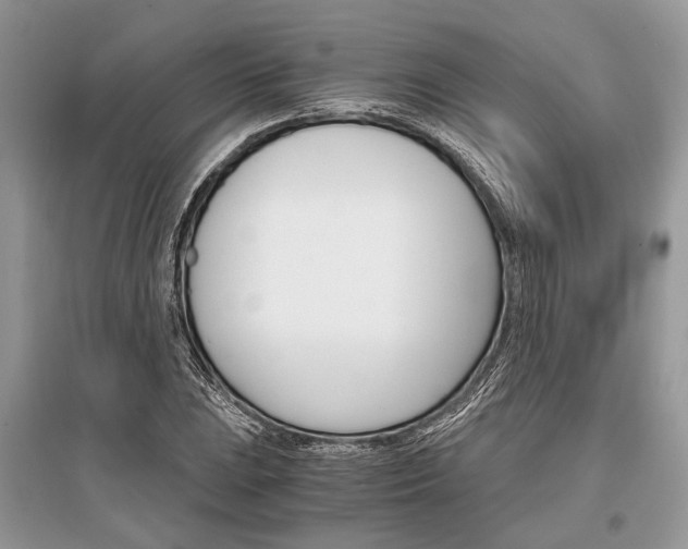 X0000096381023200801240958