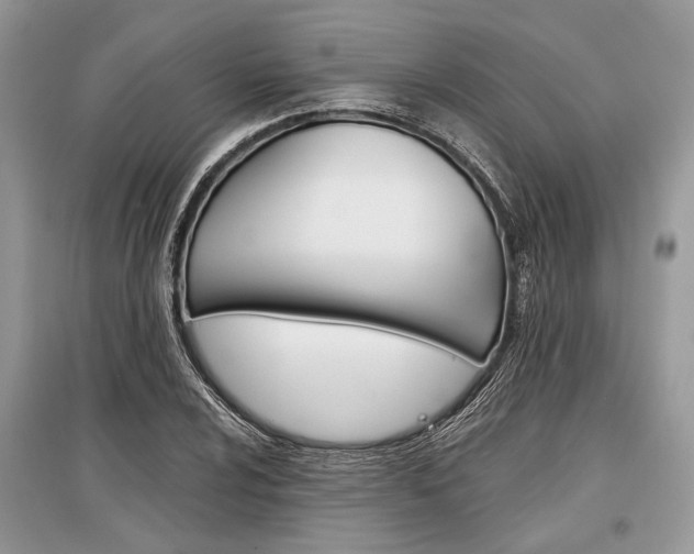 X0000096381024200801240958