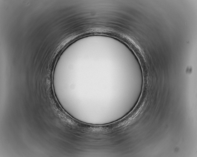 X0000096381025200801240958