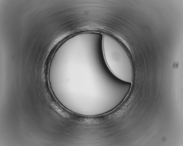 X0000096381026200801240958
