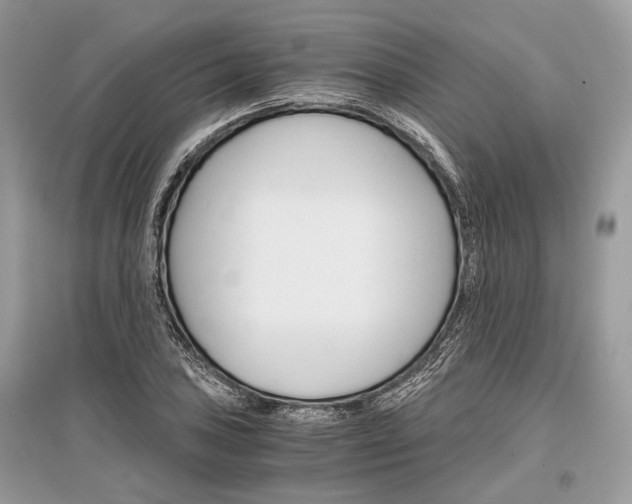 X0000096381027200801240958