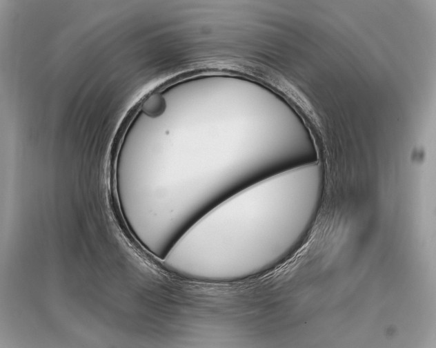 X0000096381028200801240958
