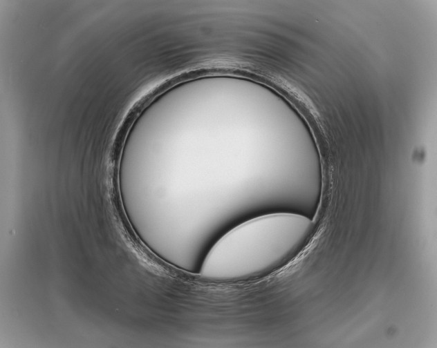 X0000096381029200801240958