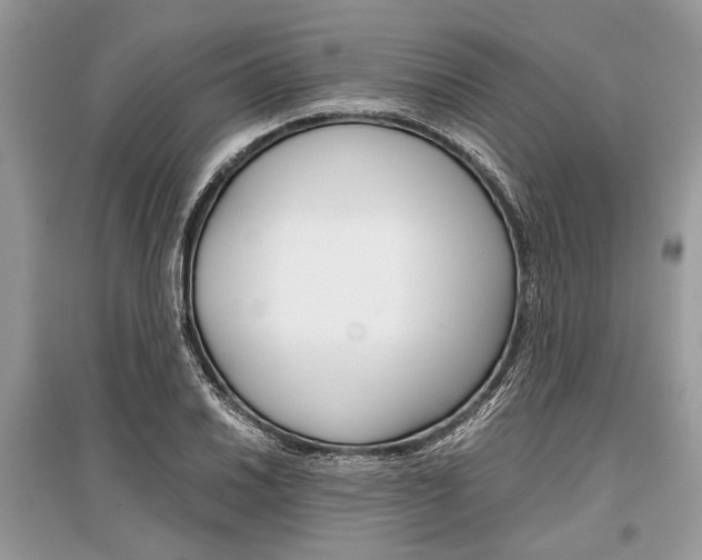 X0000096381030200801240958