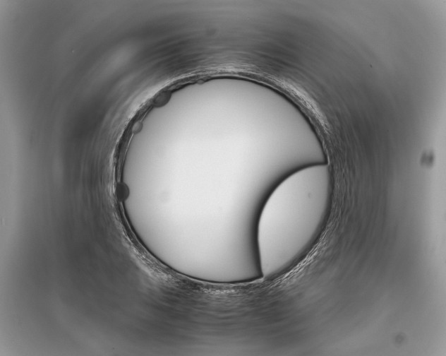 X0000096381031200801240958