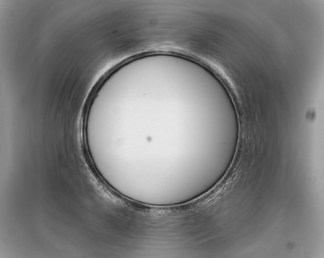 X0000096381032200801240958
