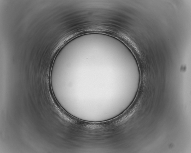 X0000096381033200801240958