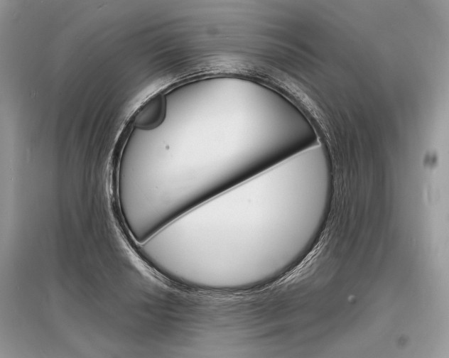 X0000096381034200801240958