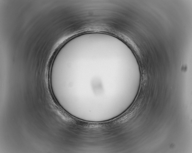 X0000096381035200801240958