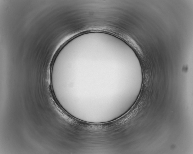 X0000096381036200801240958