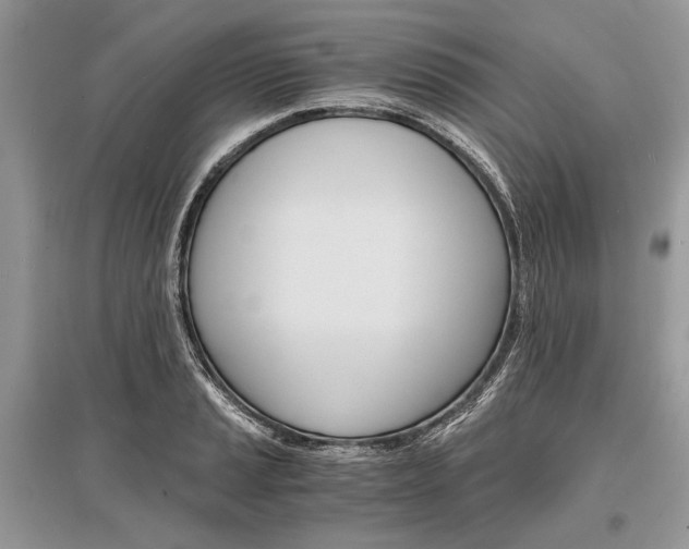 X0000096381037200801240958