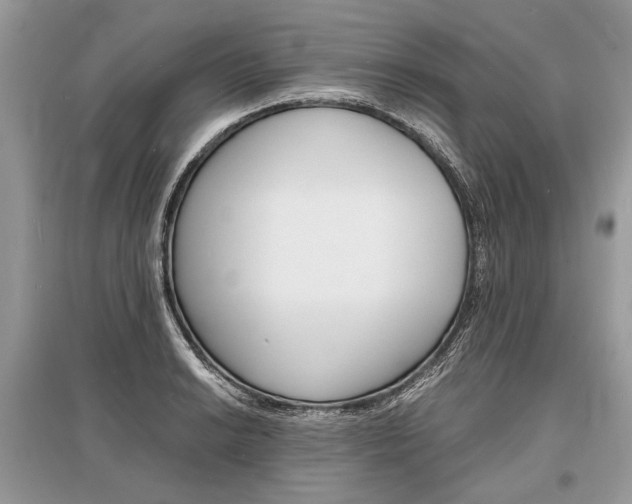 X0000096381038200801240958