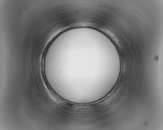 X0000096381039200801240958