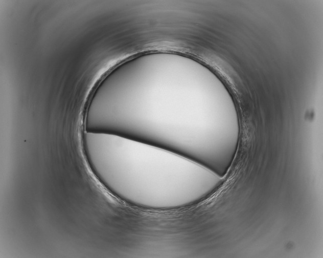 X0000096381040200801240959