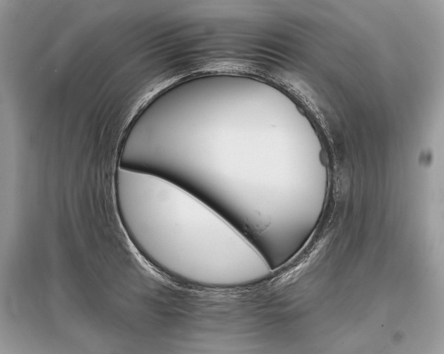 X0000096381041200801240959