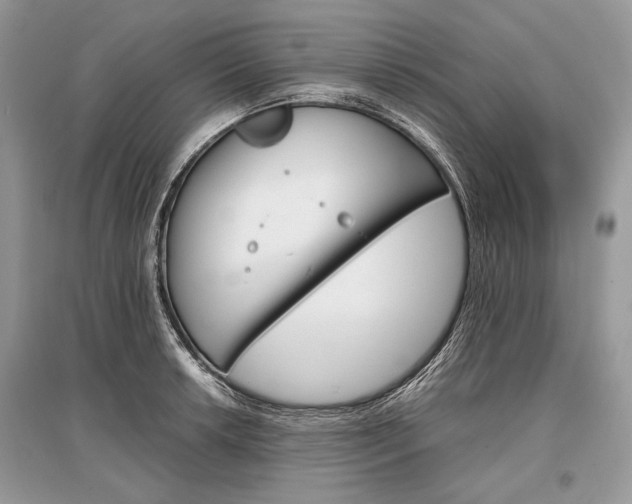 X0000096381042200801240959