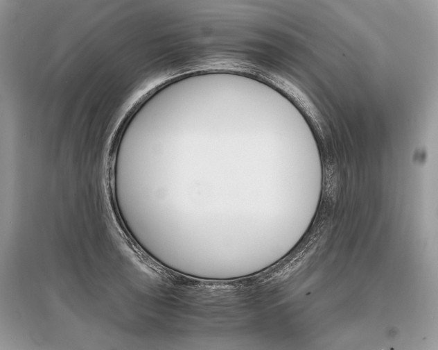 X0000096381043200801240959