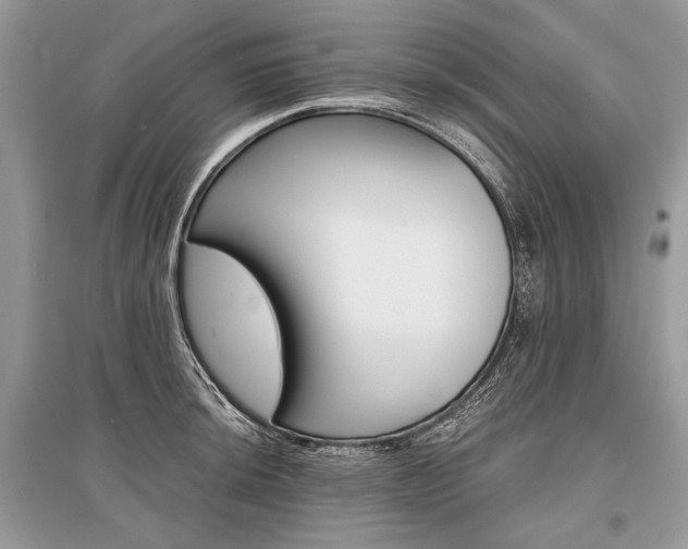 X0000096381044200801240959
