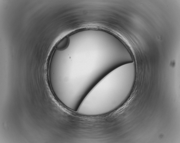 X0000096381045200801240959