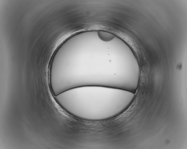 X0000096381047200801240959