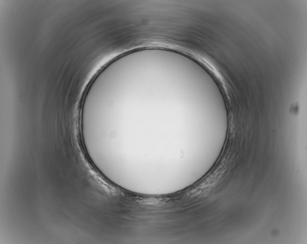 X0000096381048200801240959