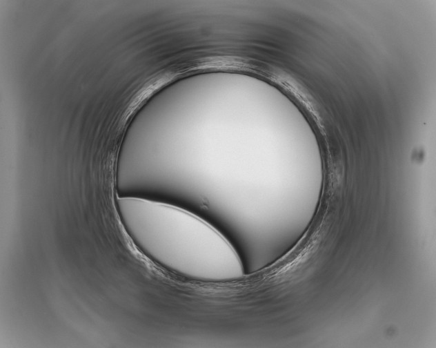 X0000096381049200801240959