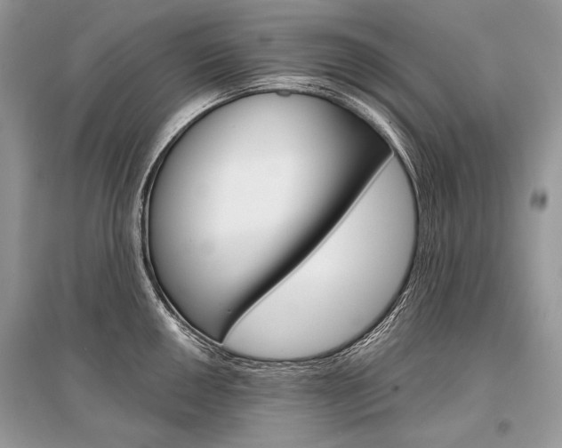 X0000096381050200801240959