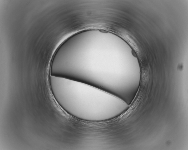 X0000096381052200801240959