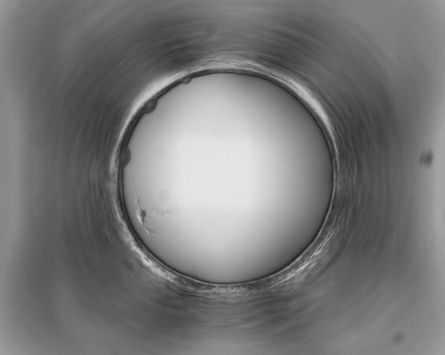 X0000096381053200801240959