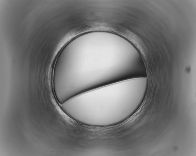X0000096381054200801240959