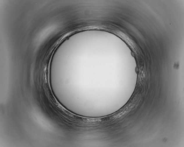 X0000096381055200801240959