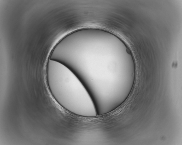 X0000096381056200801240959