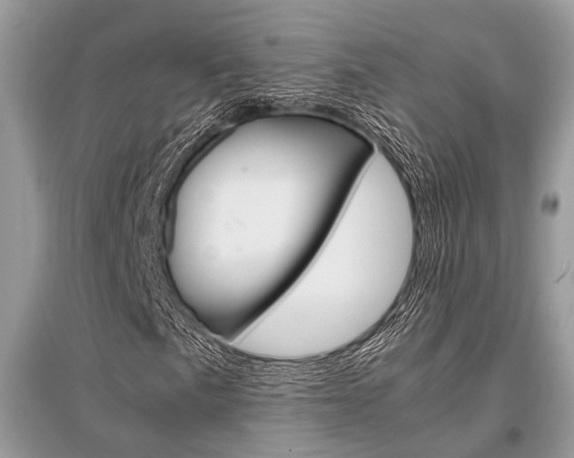 X0000096381057200801240958