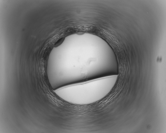 X0000096381058200801240958