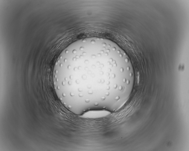 X0000096381059200801240958