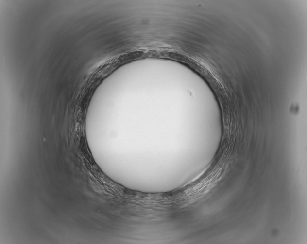 X0000096381063200801240958