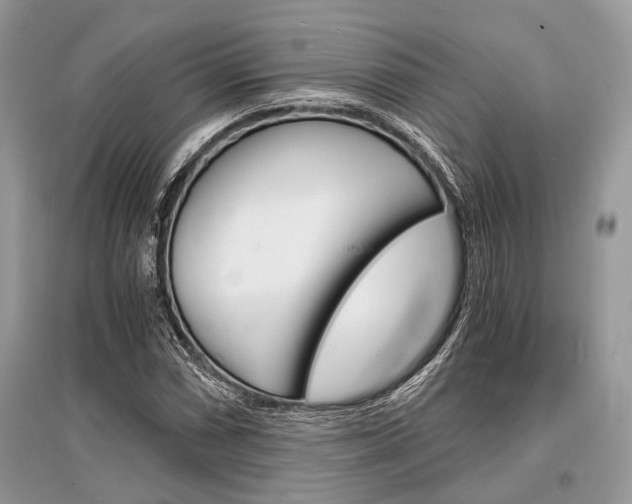 X0000096381066200801240958