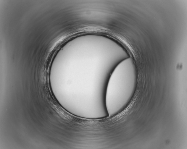 X0000096381067200801240958