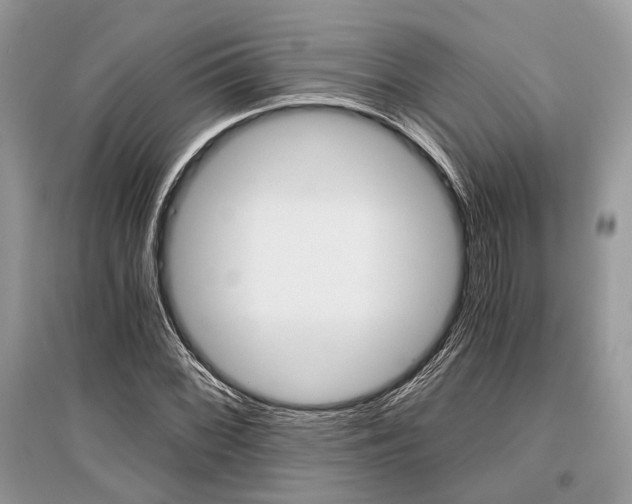 X0000096381068200801240958