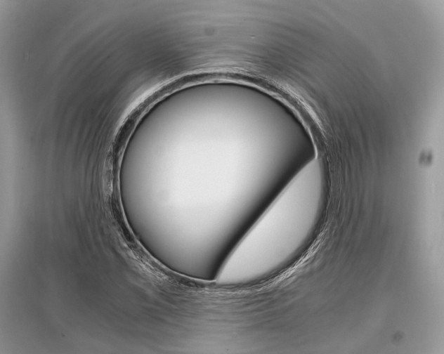 X0000096381069200801240958