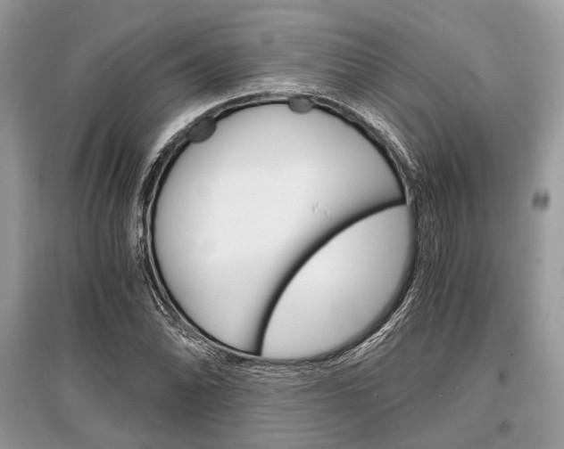 X0000096381070200801240958