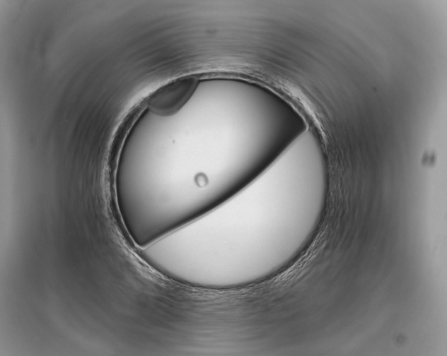 X0000096381072200801240958